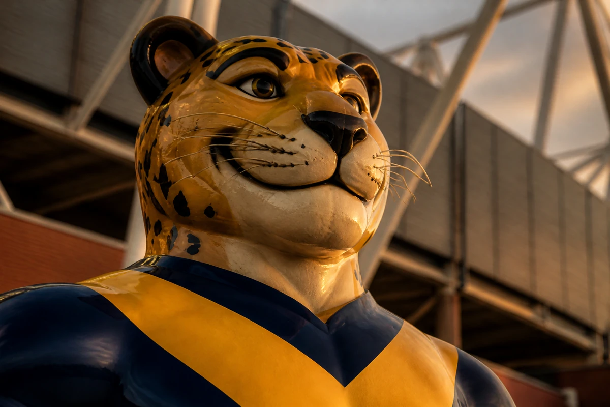 “Home Ground” — Giant FRP Stadium Concourse Mascot Statue - 2